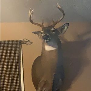 Meet your Posher, Zachary